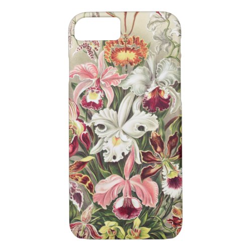 Orchids Orchideae Denusblumen by Ernst Haeckel iPhone 87 Case