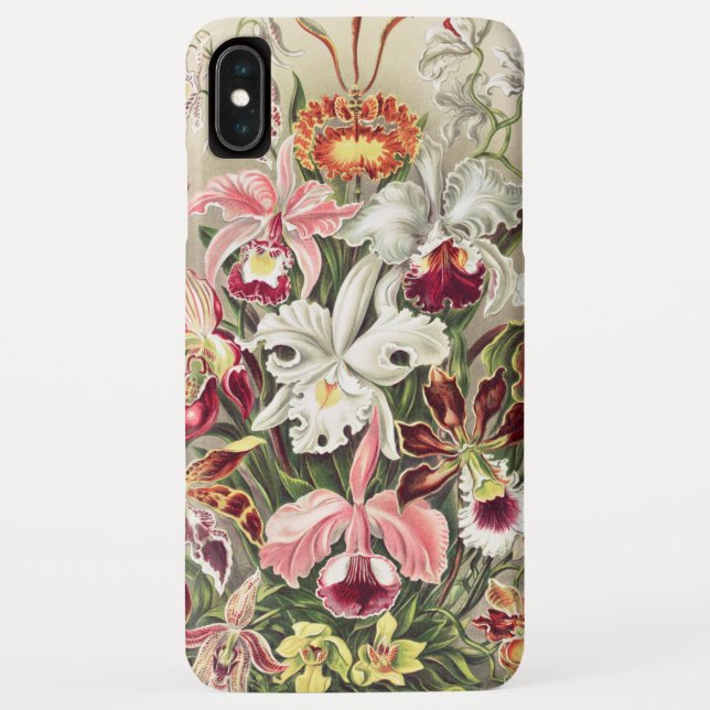 Orchids, Orchideae Denusblumen by Ernst Haeckel Case-Mate iPhone Case (Back)