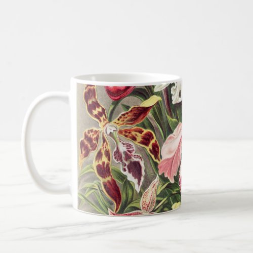 Orchids Orchideae Denusblumen by Ernst Haeckel Coffee Mug
