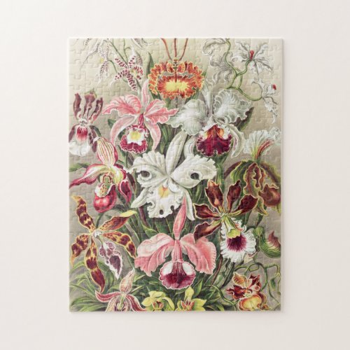 Orchids Orchideae Denusblumen by Ernst Haeckel Jigsaw Puzzle