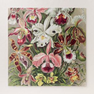 Orchids, Orchideae Denusblumen by Ernst Haeckel Jigsaw Puzzle