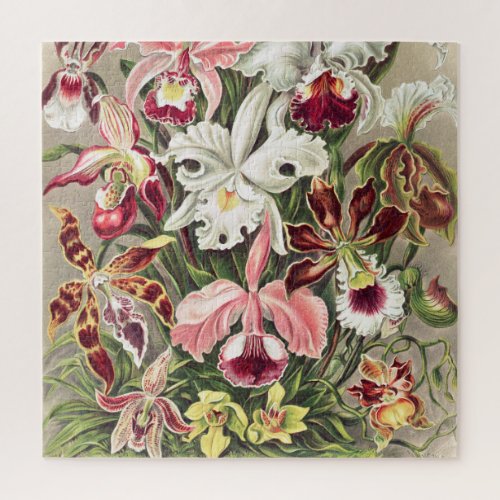 Orchids Orchideae Denusblumen by Ernst Haeckel Jigsaw Puzzle