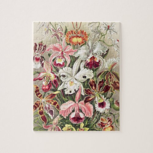 Orchids Orchideae Denusblumen by Ernst Haeckel Jigsaw Puzzle