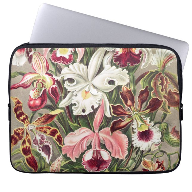 Orchids, Orchideae Denusblumen by Ernst Haeckel Laptop Sleeve (Front)