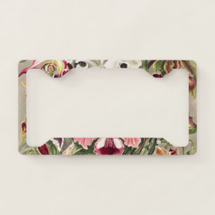 Orchids, Orchideae Denusblumen by Ernst Haeckel License Plate Frame