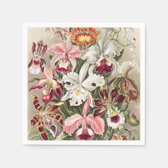 Orchids, Orchideae Denusblumen by Ernst Haeckel Napkins (Front)