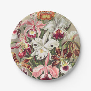 Orchids, Orchideae Denusblumen by Ernst Haeckel Paper Plates