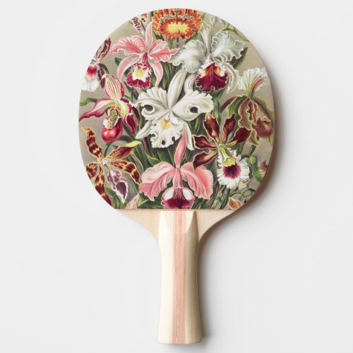 Orchids Orchideae Denusblumen by Ernst Haeckel Ping Pong Paddle