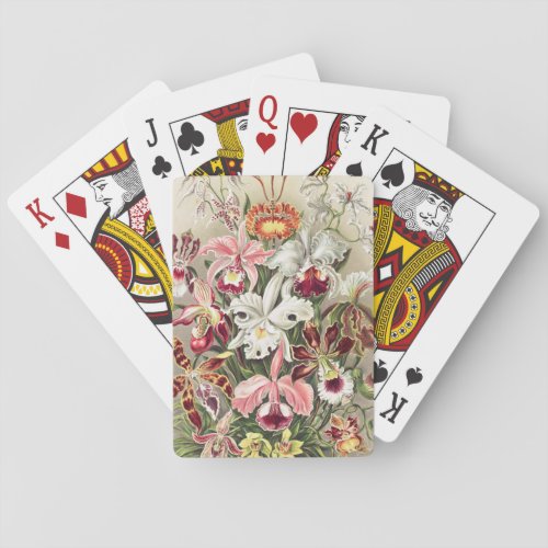 Orchids Orchideae Denusblumen by Ernst Haeckel Playing Cards