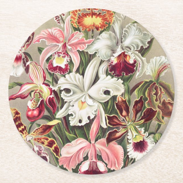 Orchids, Orchideae Denusblumen by Ernst Haeckel Round Paper Coaster (Front)