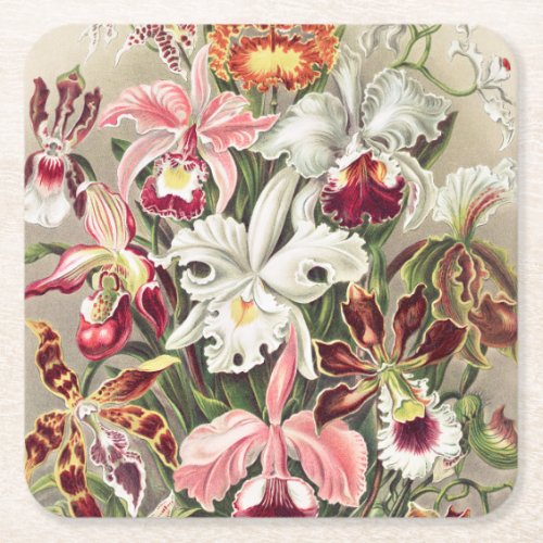 Orchids Orchideae Denusblumen by Ernst Haeckel Square Paper Coaster