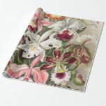 Orchids, Orchideae Denusblumen by Ernst Haeckel Wrapping Paper<br><div class="desc">Orchids, Orchideae Denusblumen by Ernst Haeckel Wrapping Paper“Vintage illustration fine art drawing”, “Ernst Haeckel”, “floral flora flowers leaves plants”, “tropical rainforest forest jungle nature ”, “botanical botany orchids plans trees”, “science scientific artwork Filicinae”, “biologist plant leaf fleur fronds”, “Art Forms in Nature”, “artistic victorian green embryophyta”, “Kunstformen der Natur”</div>