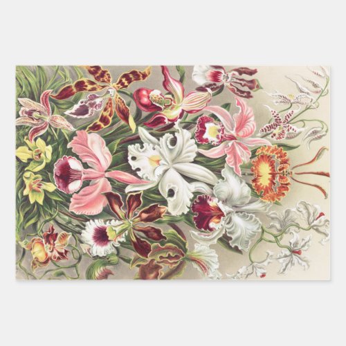 Orchids Orchideae Denusblumen by Ernst Haeckel Wrapping Paper Sheets