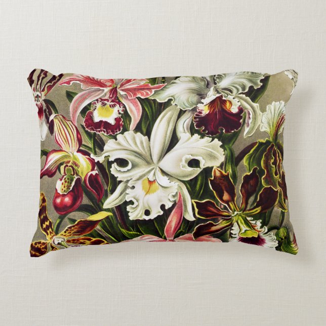 Orchids, Orchideae Denusblumen Ernst Haeckel  Accent Pillow (Front)