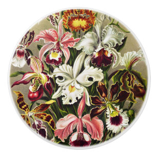 Orchids, Orchideae Denusblumen Ernst Haeckel Ceramic Knob