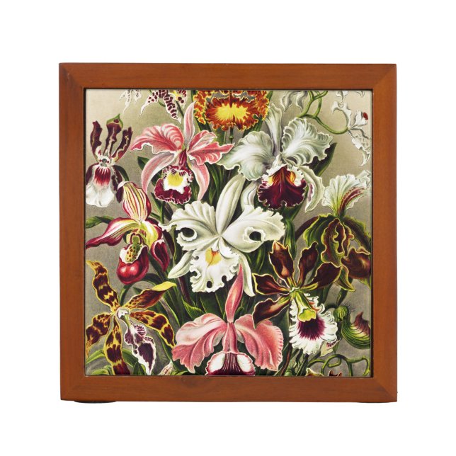 Orchids, Orchideae Denusblumen Ernst Haeckel Desk Organizer (Front)