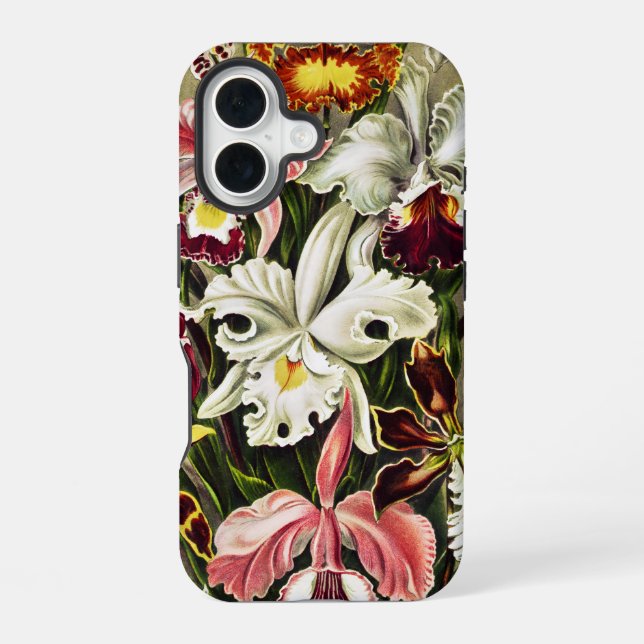 Orchids, Orchideae Denusblumen Ernst Haeckel  iPhone Case (Back)