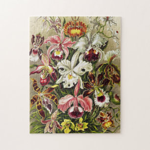 Orchids, Orchideae Denusblumen Ernst Haeckel Jigsaw Puzzle