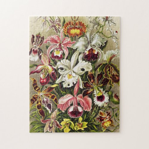 Orchids Orchideae Denusblumen Ernst Haeckel Jigsaw Puzzle