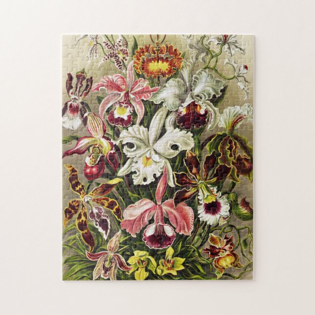 Orchids, Orchideae Denusblumen Ernst Haeckel Jigsaw Puzzle (Vertical)