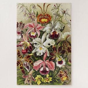 Orchids, Orchideae Denusblumen Ernst Haeckel Jigsaw Puzzle