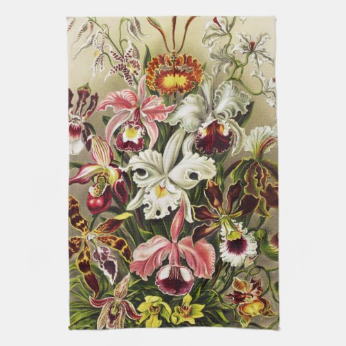 Orchids Orchideae Denusblumen Ernst Haeckel  Kitchen Towel