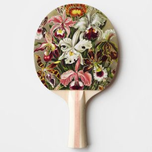 Orchids, Orchideae Denusblumen Ernst Haeckel  Ping Pong Paddle