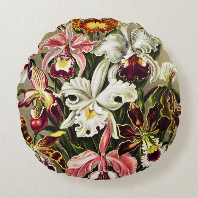 Orchids, Orchideae Denusblumen Ernst Haeckel  Round Pillow (Front)