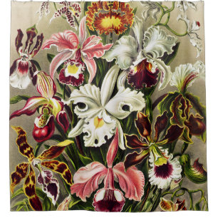 Orchids, Orchideae Denusblumen Ernst Haeckel Shower Curtain