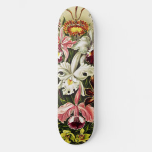 Orchids, Orchideae Denusblumen Ernst Haeckel  Skateboard