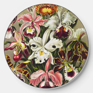 Orchids, Orchideae Denusblumen Ernst Haeckel Wireless Charger
