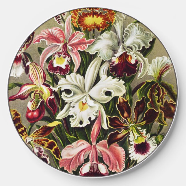 Orchids, Orchideae Denusblumen Ernst Haeckel  Wireless Charger (Front)