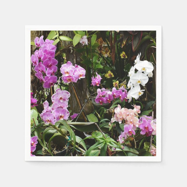 Orchids Paper Napkins (Front)