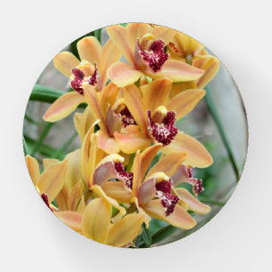 Orchids Paperweight