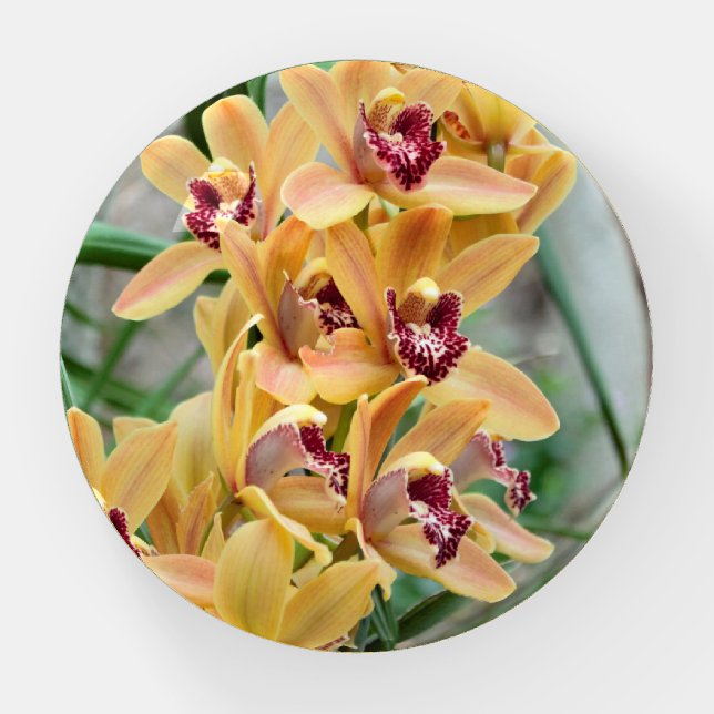 Orchids Paperweight (Front)