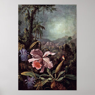 Orchids Passion Flowers And Hummingbirds By Martin Poster