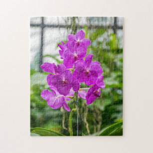 Orchids photo puzzle