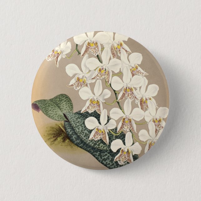 Orchids Pinback Button (Front)