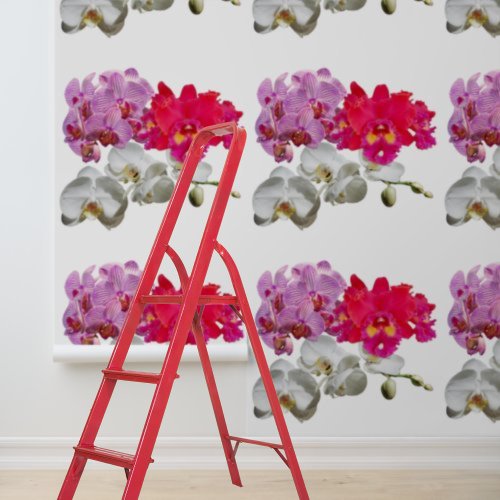 Orchids Pink White Red Floral Peel Stick Wallpaper