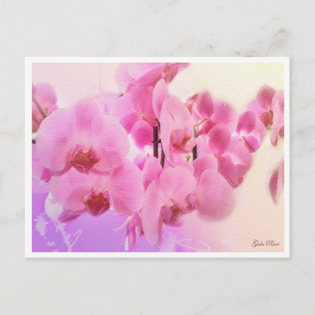 orchids postcard (Front)