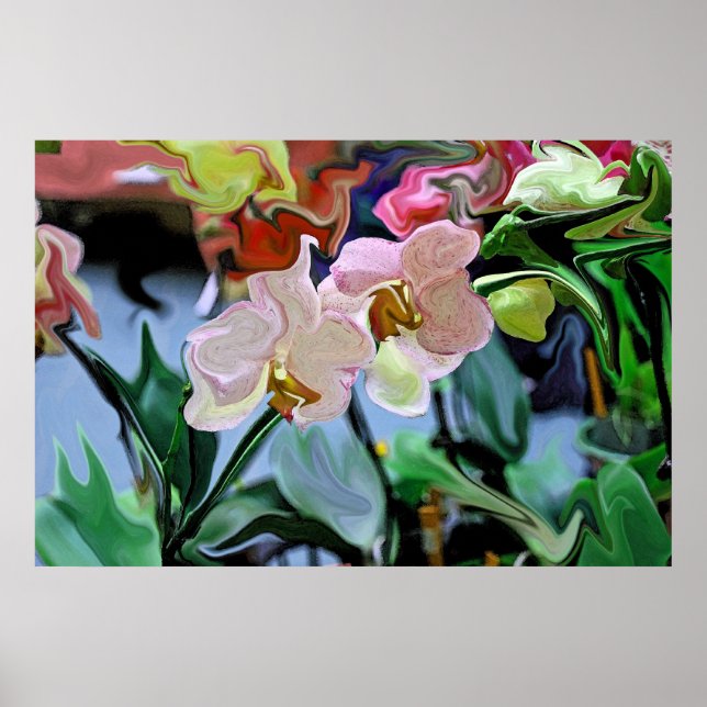 Orchids Poster (Front)