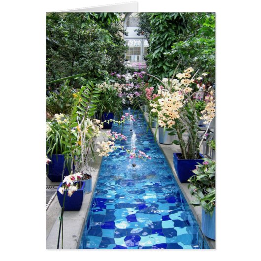 Orchids show cards (Front)