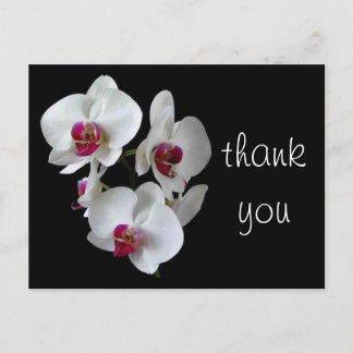 orchids: thank you! postcard