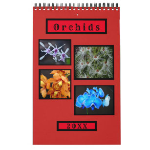 Orchids Wall Calendar
