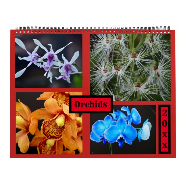 Orchids Wall Calendar (Cover)