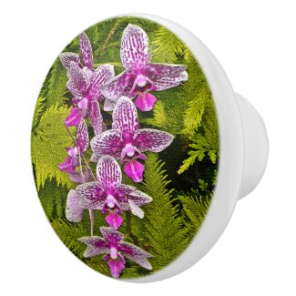 ORCHIDS/WHITE AND FUCHSIA COLORED/GREEN FERNS