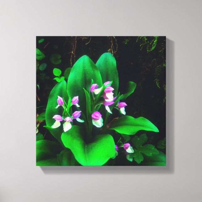 Orchis Wildflowers Canvas Print (Front)