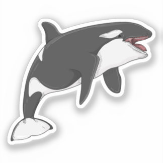 Orcinus Orca vector illustration Sticker