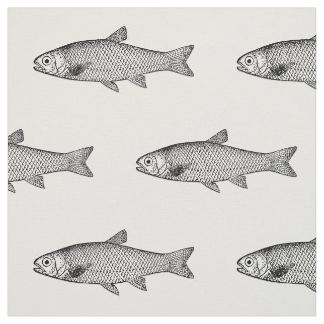 Ordinary Fish, color background choice Fabric (Swatch)