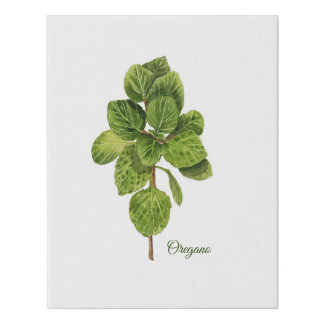 Oregano 1 faux canvas print